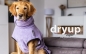 Preview: DRYUP Cape Hundebademantel lavendel